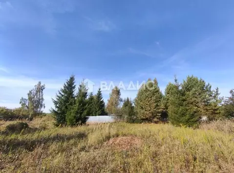 Участок в Владимирская область, Камешковский район, Второвское ...