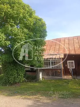 Дом в Пермский край, Лысьва ул. Полярников, 45 (37 м)
