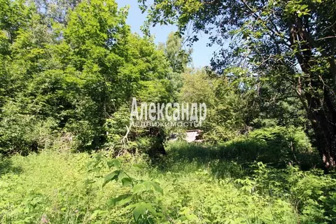 Участок в Ленинградская область, Выборгский район, Селезневское с/пос, ...