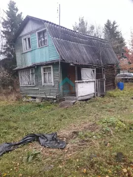 Участок в Ленинградская область, Волховский район, Кисельнинское ...