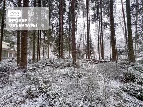 Участок в Санкт-Петербург, Санкт-Петербург, Зеленогорск ул. 2-я Лесная ...