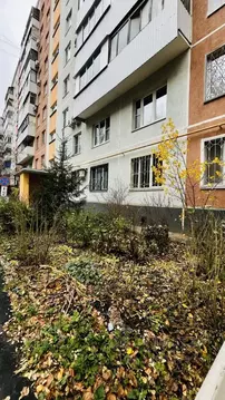 Студия Москва Планерная ул., 26С1 (10.0 м)