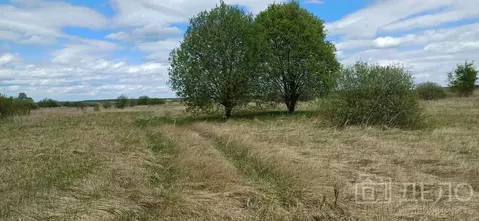 Участок в Рязанская область, Спасский район, Киструсское с/пос, с. ...