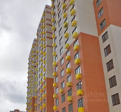 Студия Московская область, Балашиха ул. Дмитриева, 15 (23.0 м)