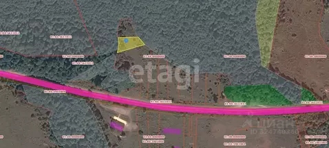 Участок в Адыгея, Майкопский район, Даховская ст-ца  (20.0 сот.)