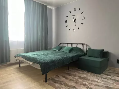 Студия Новгородская область, Великий Новгород ул. Арциховского, 11 ...