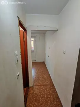 1-комнатная квартира: Тюмень, улица Пермякова, 84 (42.8 м)