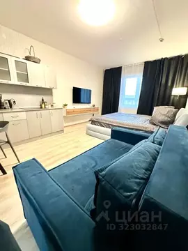 Студия Пермский край, Пермь ул. Революции, 48А (35.0 м)