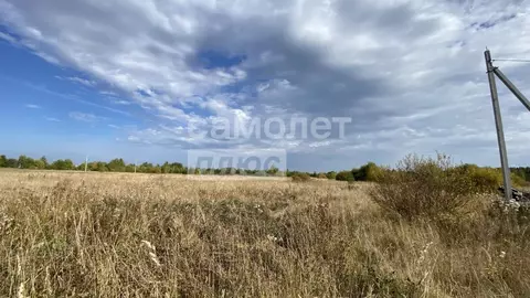 Участок в Архангельская область, Коряжма ул. Благодатная, 57 (8.2 ...