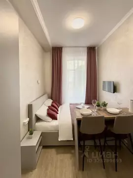 Студия Москва ул. Большая Якиманка, 35С1 (16.0 м)