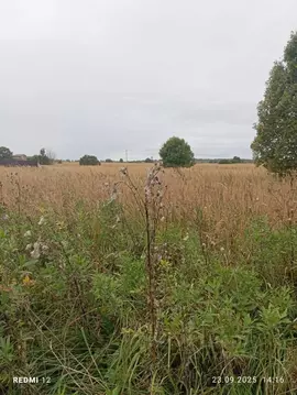 Участок в Московская область, Можайский муниципальный округ, д. ...