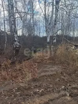 Участок в Красноярский край, Красноярск Пригорная ул., 51А/196 (8.63 ...