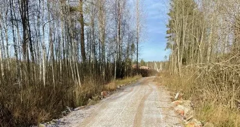 Участок в Новгородская область, Валдай Лесхозная ул. (10.0 сот.)