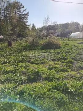 Участок в Сахалинская область, Южно-Сахалинск  (7.94 сот.)