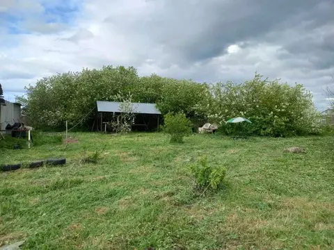 Участок в Омская область, Омский район, Красноярское с/пос, д. Нижняя ...