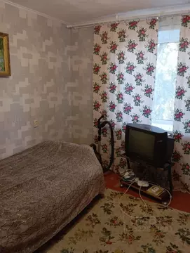 1-к кв. Самарская область, Тольятти Комсомольская ул., 167 (22.0 м)