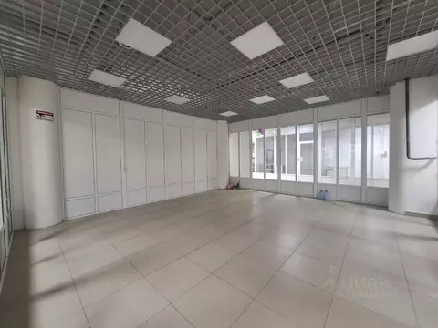 Торговая площадь в Владимирская область, Владимир ул. Егорова, 8Б (47 ...