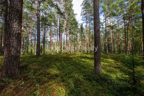 Участок в Санкт-Петербург пос. Комарово, просп. Большой (100.0 сот.)