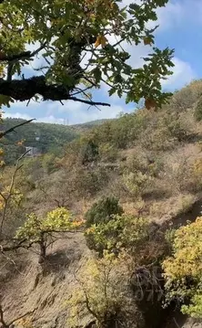 Участок в Крым, Алушта муниципальный округ, пос. Семидворье ул. ...