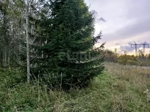 Участок в Ленинградская область, Волховский район, Кисельнинское ...