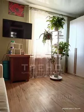 1-к кв. Ленинградская область, Мурино Всеволожский район, Оборонная ...