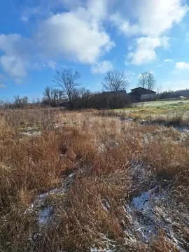 Участок в Воронежская область, Новоусманский район, Хреновское с/пос, ...