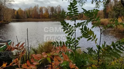 Участок в Ленинградская область, Приозерский район, Мельниковское ...