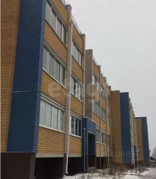 Студия Удмуртия, Завьяловский район, д. Хохряки Тепличная ул., 32 ...