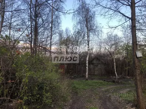 Участок в Воронежская область, Воронеж ул. Березовая Роща, 45 (8.1 ...