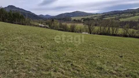 Участок в Алтай, Майминский район, Куташ-4 СТ  (17.84 сот.)