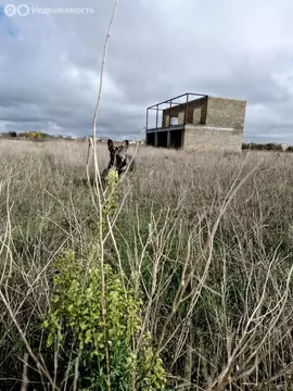 Дом в Громово, Средняя улица, 7 (261 м)