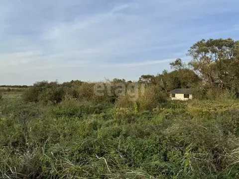 Участок в Калининградская область, Гурьевский муниципальный округ, ...