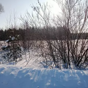 Участок в Московская область, Егорьевск муниципальный округ, д. ...