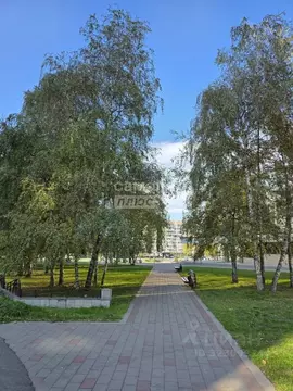 2-к кв. Кабардино-Балкария, Нальчик ул. Ногмова, 18А (80.0 м)