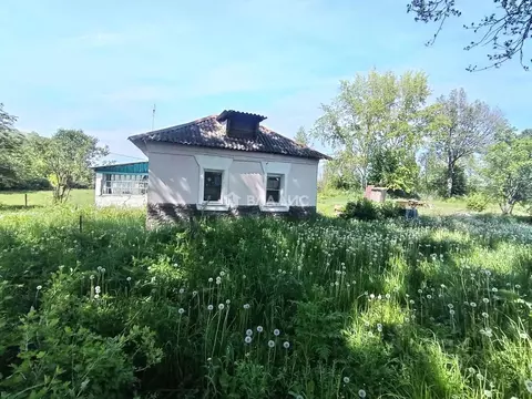Дом в Рязанская область, Спасский район, Перкинское с/пос, с. Перкино  ...