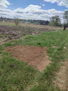 Участок в Калужская область, Тарусский район, Похвиснево с/пос, д. ...