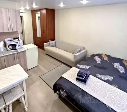 Студия Татарстан, Казань Ботаническая ул., 20 (25.0 м)