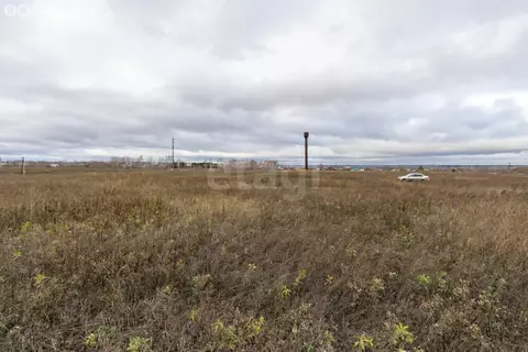 Участок в Тукаевский район, Калмиинское сельское поселение, ДНП Ясная ...