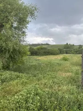 Участок в Белгородская область, Белгородский район, Пушкарское с/пос, ...