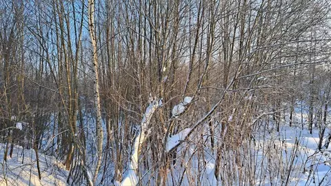 Участок в Московская область, Дубна наб. Дубненская (7.71 сот.)