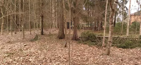 Участок в Ленинградская область, Гатчинский муниципальный округ, д. ...