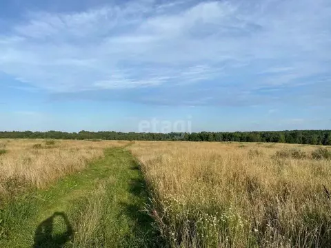 Участок в Брянская область, Брянский район, Чернетовское с/пос, с. ...
