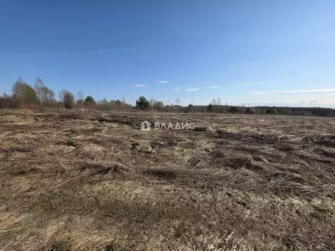 Участок в Владимирская область, Камешковский муниципальный округ, с. ...
