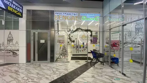 Помещение свободного назначения в Санкт-Петербург Дунайский просп., ...
