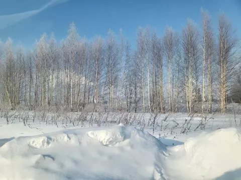 Участок в Ярославская область, Ярославский муниципальный округ, ...