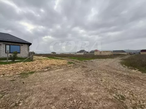 Участок в Дагестан, Дербентский район, с. Чинар  (5.0 сот.)