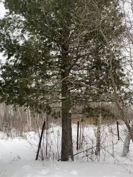 Участок в Томская область, Томск пос. Апрель, проезд Геологов, 14 ...