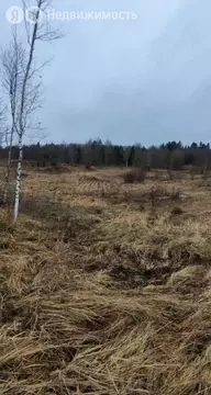 Участок в Волосовский район, Бегуницкое сельское поселение, деревня ...