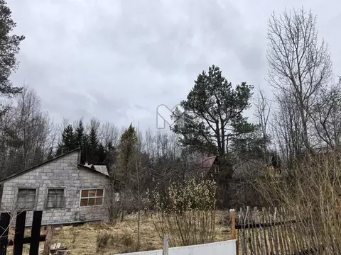 Участок в Ленинградская область, Лужский район, Мшинское с/пос, ...