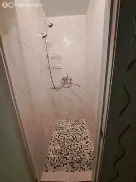 1к в 5-комнатной квартире (12.6 м)